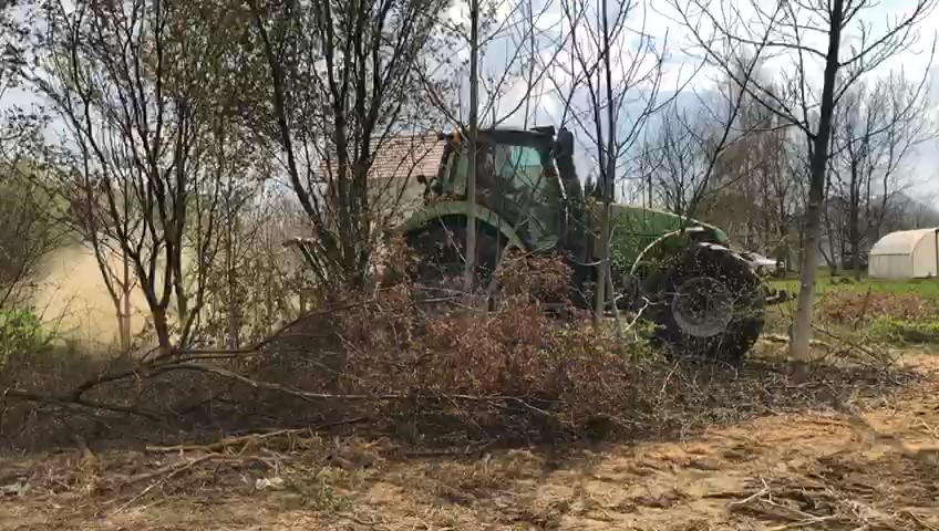 Transformirajte Vaš Vrt Malčiranjem
